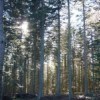 4ème réunion du groupe de travail COP Etat-ONF-Communes forestières