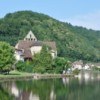 Rencontres forestières : le Limousin accueille la Corse