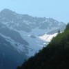 La forêt de montagne à la Une dans la revue de l'ANEM