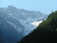 La forêt de montagne à la Une dans la revue de l'ANEM