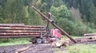 Approvisionnement des entreprises de la filière bois