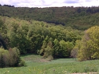 Collectivités et foncier forestier : les Communes forestières s'investissent