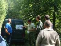 Le Schéma directeur d'organisation de l'ONF : un nouveau cadre d'action dans les territoires