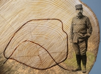 La forêt et le bois au cœur des commémorations du centenaire de la Grande Guerre