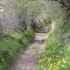 Projet de loi relatif à la biodiversité : les Communes forestières adressent leurs propositions