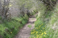 Projet de loi relatif à la biodiversité : les Communes forestières adressent leurs propositions