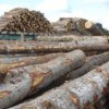 Pour une stratégie de filière partagée par l'ensemble des acteurs