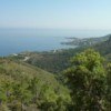 Communes forestières de Provence-Alpes-Côte d'Azur : les nouveaux élus mobilisés