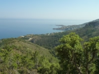 Communes forestières de Provence-Alpes-Côte d'Azur : les nouveaux élus mobilisés
