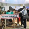 Congrès des maires 2014 : les espaces forestiers, axes de travail du Gouvernement