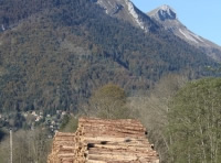 PNFB : Dominique Jarlier présidera le groupe de travail "Forêt et territoire"