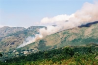 Plans de prévention des risques d'incendies de forêt (PPRIF) : les Communes forestières consultées