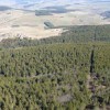 Les Programmes régionaux de la forêt et du bois à construire