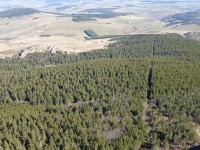 Les Programmes régionaux de la forêt et du bois à construire