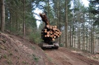 Utiliser la voirie forestière pour mobiliser plus : les présentations à disposition des adhérents