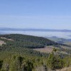 Intégrer les enjeux forestiers dans les politiques des territoires