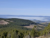 Intégrer les enjeux forestiers dans les politiques des territoires