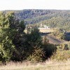 Commissions régionales de la forêt et du bois : c'est parti !