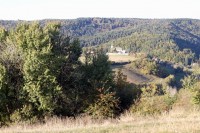 Commissions régionales de la forêt et du bois : c'est parti !