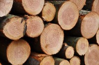 Valoriser la ressource bois local sur son territoire