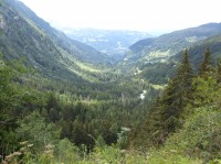 Loi montagne : où est passée la forêt ?