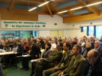 L'impact du changement climatique sur les essences forestières