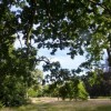 Projet de décret dans les forêts de protection : création d'un groupe de travail
