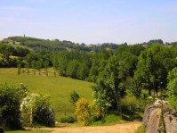 Le Pays de Pouzauges signe sa charte forestière