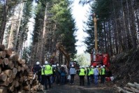 L'exploitation forestière par câble, une solution pour mobiliser du bois en montagne