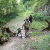 Maladie de Lyme : les forestiers vigilants