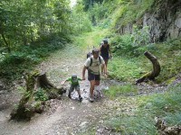 Maladie de Lyme : les forestiers vigilants