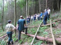 Travail illégal en forêt: protéger le tissu économique local