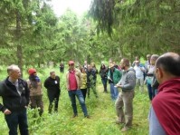 Europe: le bénéfice « climat » d'une sylviculture dynamique