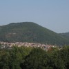 Le rôle des communes forestières dans la transition écologique des territoires