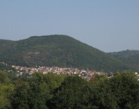 Le rôle des communes forestières dans la transition écologique des territoires