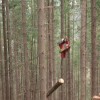 La forêt cablée : les Communes forestières à l'initiative en Ardèche