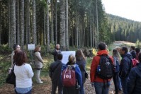Porter notre voix au niveau européen et partager nos expériences entre pays forestiers