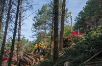 Le câble, une solution pour mobiliser du bois en forêts de montagne