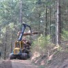 Commercialisation des bois : la filière unie pour trouver des solutions