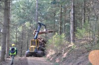 Commercialisation des bois : la filière unie pour trouver des solutions