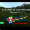 Accidents en forêt : agir ensemble