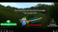 Accidents en forêt : agir ensemble