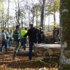 On ne ferme pas les forêts publiques !