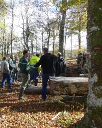On ne ferme pas les forêts publiques !
