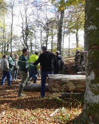 On ne ferme pas les forêts publiques !