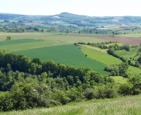 Le partenariat Chambres d'agriculture-Communes forestières