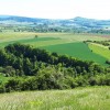 Un plan de 4,9 millions d'euros pour le développement forestier