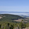 Territoires forestiers innovants: une dynamique collective