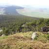 La filière bois Massif central : un potentiel pour le développement local