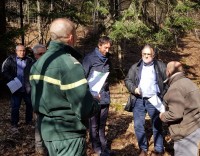 A la découverte d'un écosystème territorial forestier